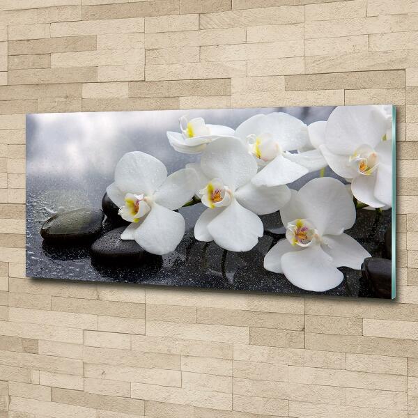 Glass wall art Orchid