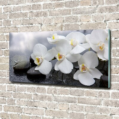 Glass wall art Orchid