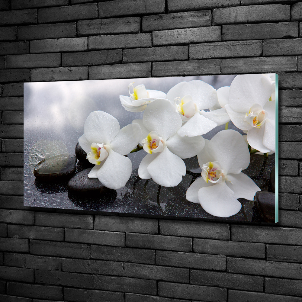 Glass wall art Orchid