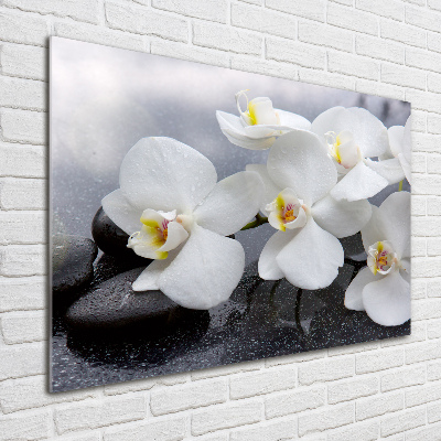 Glass wall art Orchid