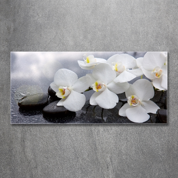 Glass wall art Orchid