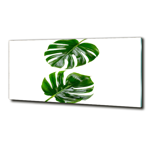 Wall art on glass Tropical leaves