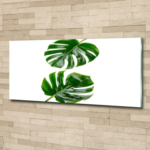 Wall art on glass Tropical leaves