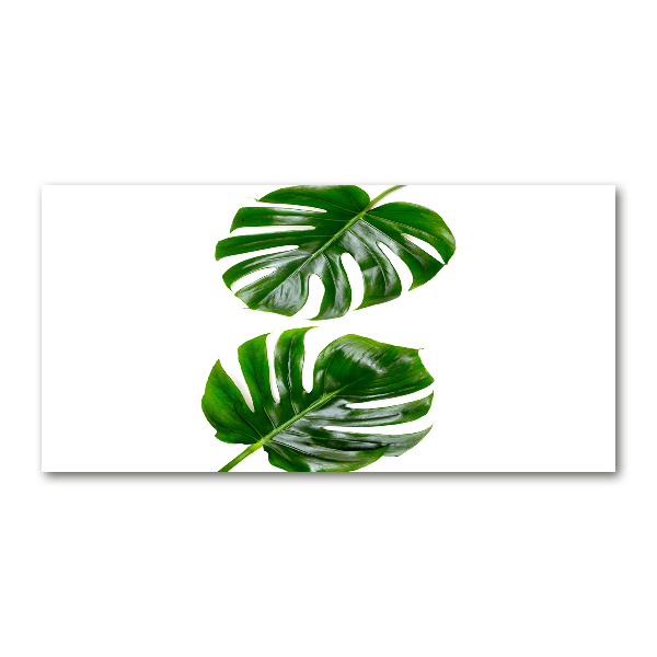 Wall art on glass Tropical leaves