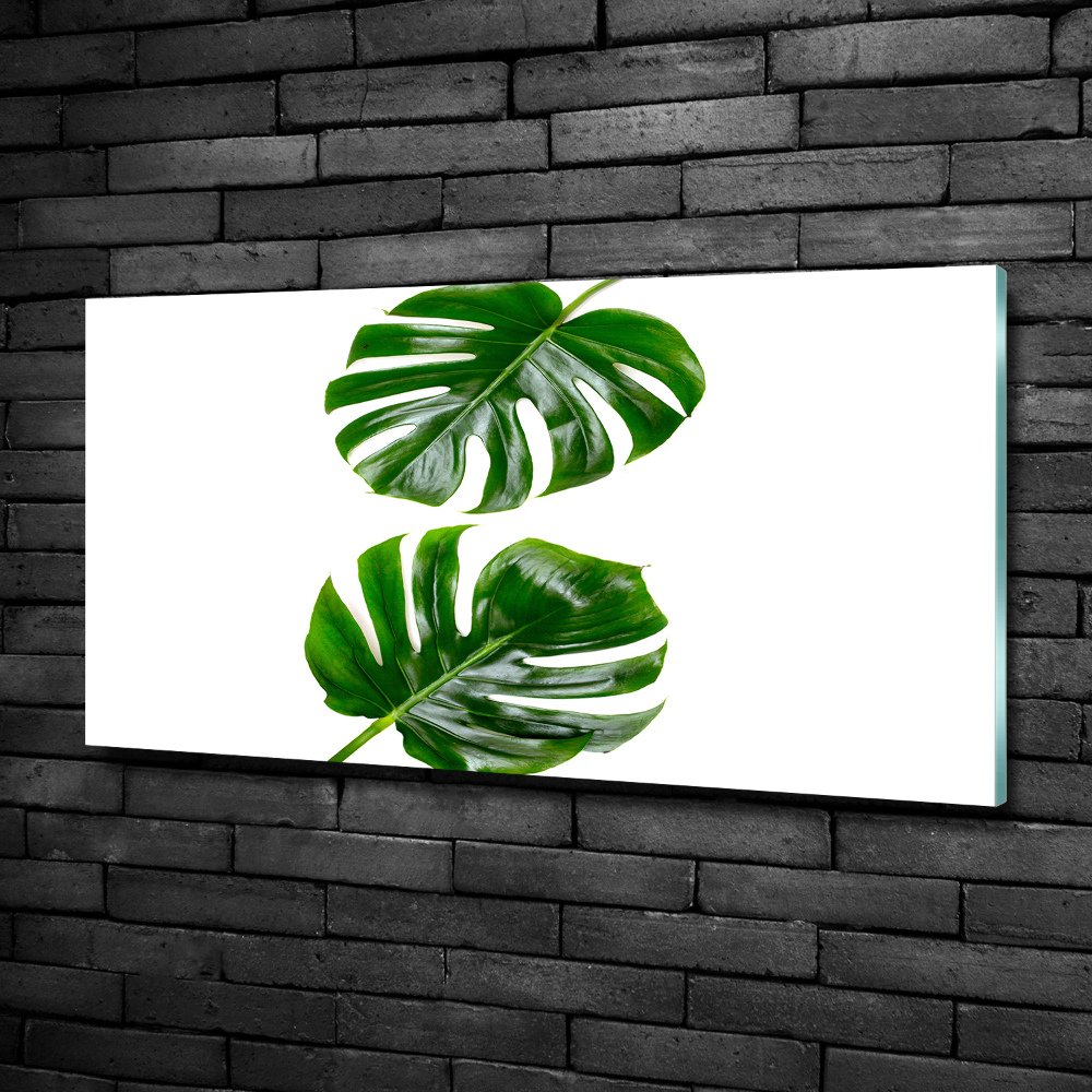 Wall art on glass Tropical leaves