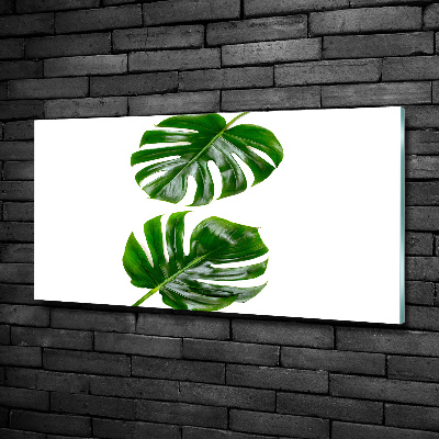 Wall art on glass Tropical leaves