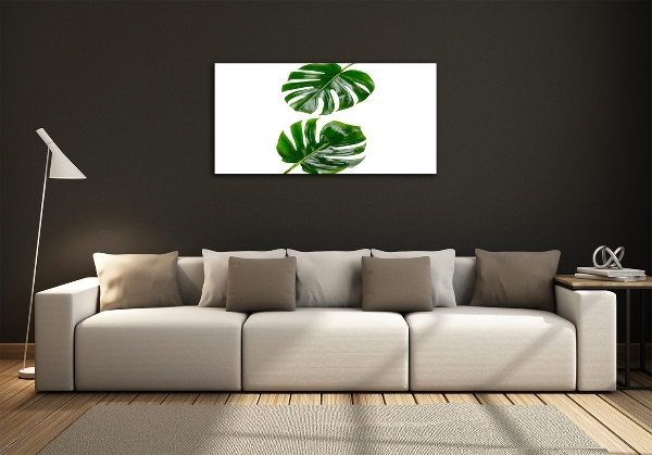 Wall art on glass Tropical leaves