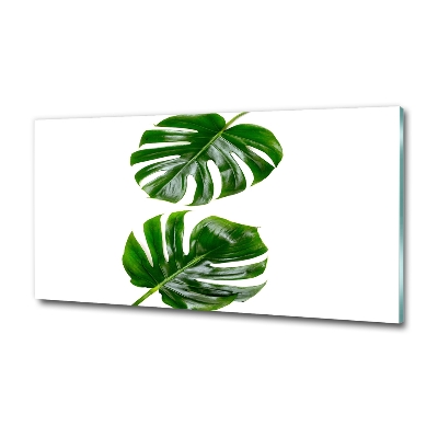 Wall art on glass Tropical leaves