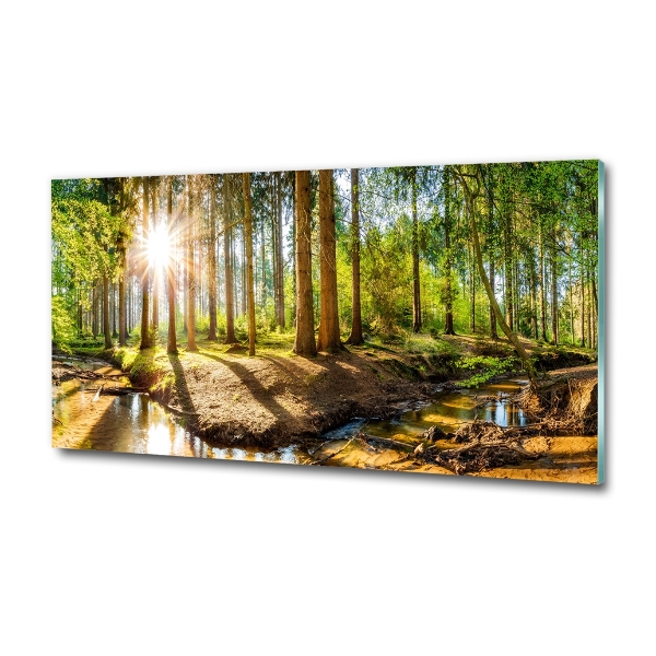 Wall art on glass Panorama of the forest