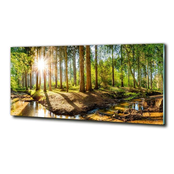 Wall art on glass Panorama of the forest