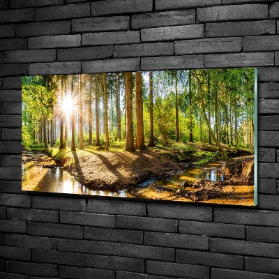 Wall art on glass Panorama of the forest