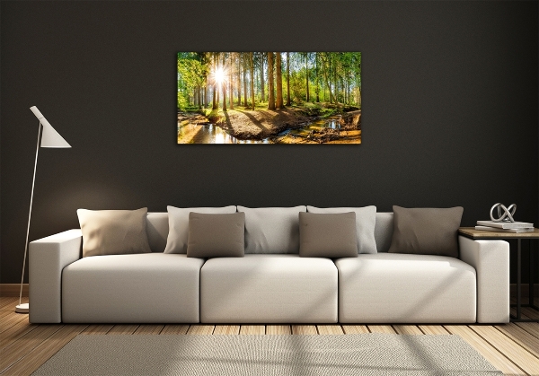 Wall art on glass Panorama of the forest