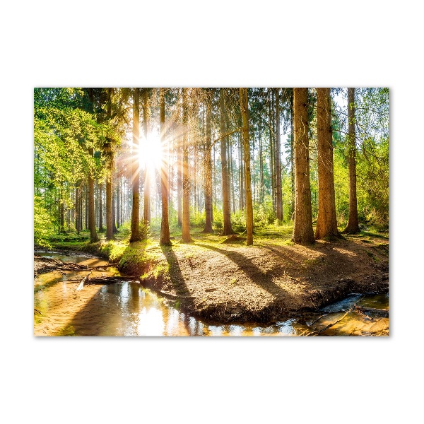 Wall art on glass Panorama of the forest