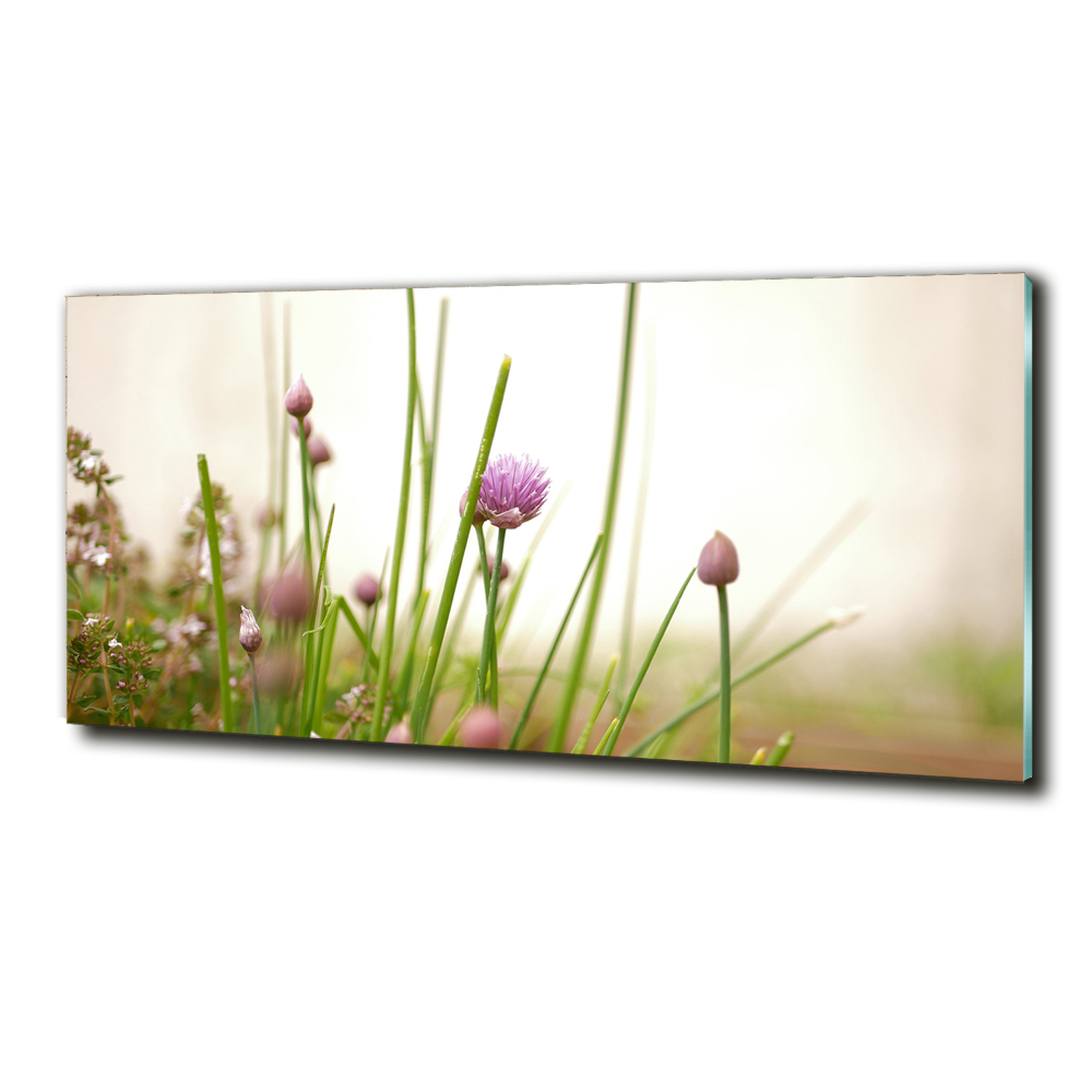 Wall art on glass Chives