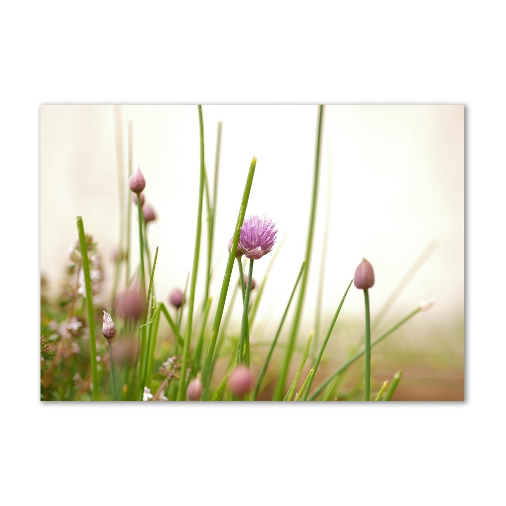 Wall art on glass Chives