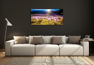 Wall art on glass Crocuses in the clearing