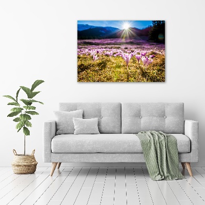 Wall art on glass Crocuses in the clearing