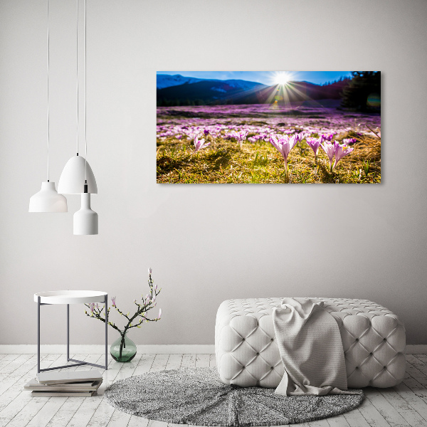 Wall art on glass Crocuses in the clearing