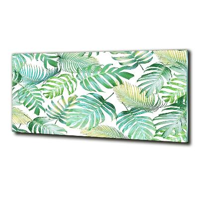 Wall art on glass Tropical leaves