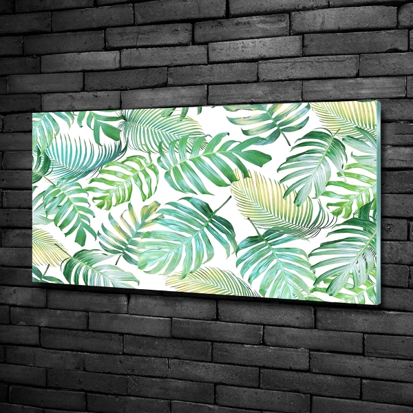 Wall art on glass Tropical leaves