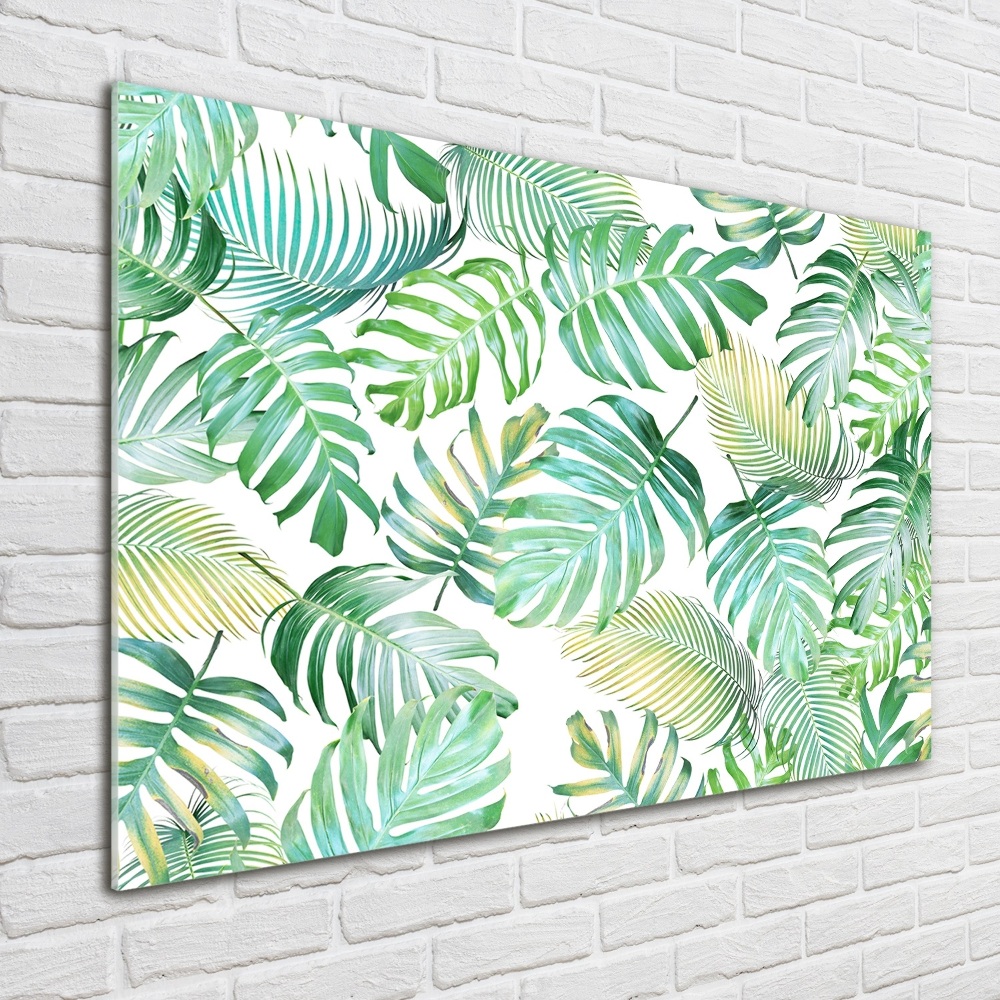 Wall art on glass Tropical leaves