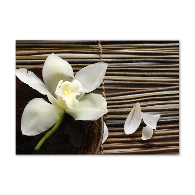 Glass wall art Orchid