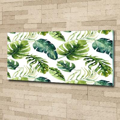 Glass wall art Tropical leaves