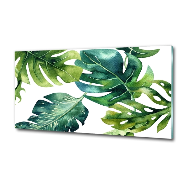Tropical leaves