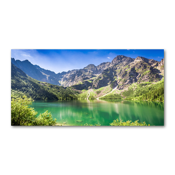 Glass wall art Morskie oko tatry