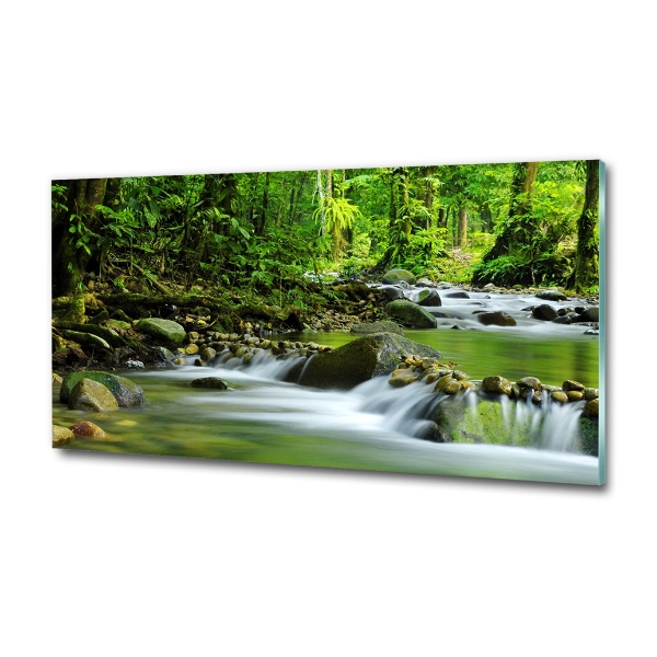 Mountain stream