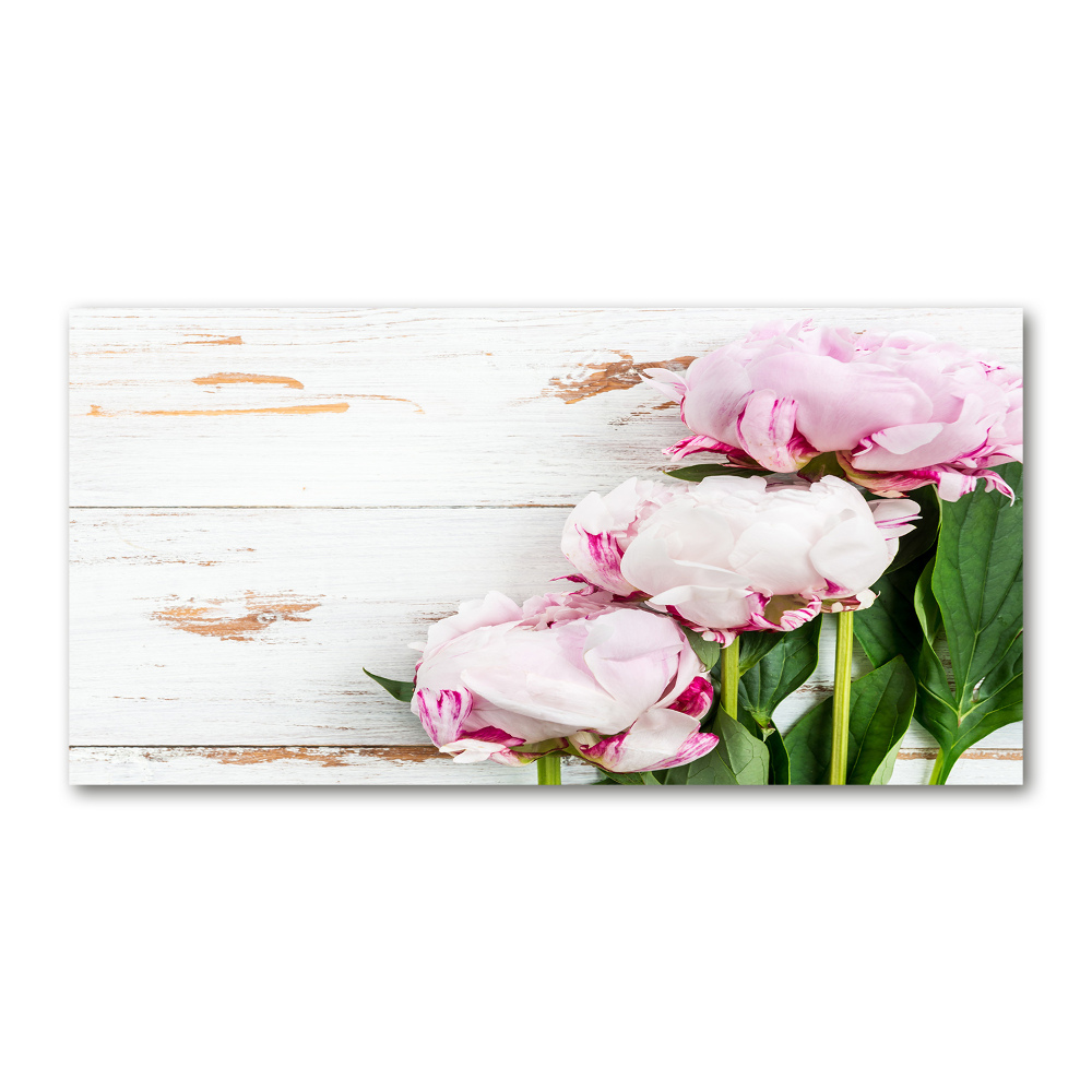 Wall art on glass Peonies