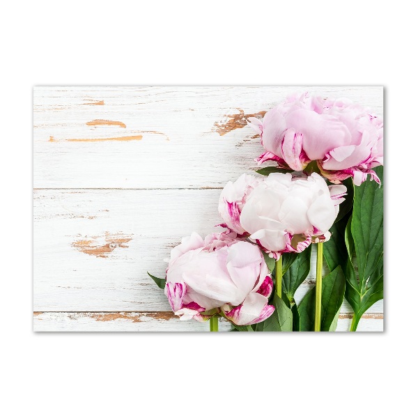 Wall art on glass Peonies