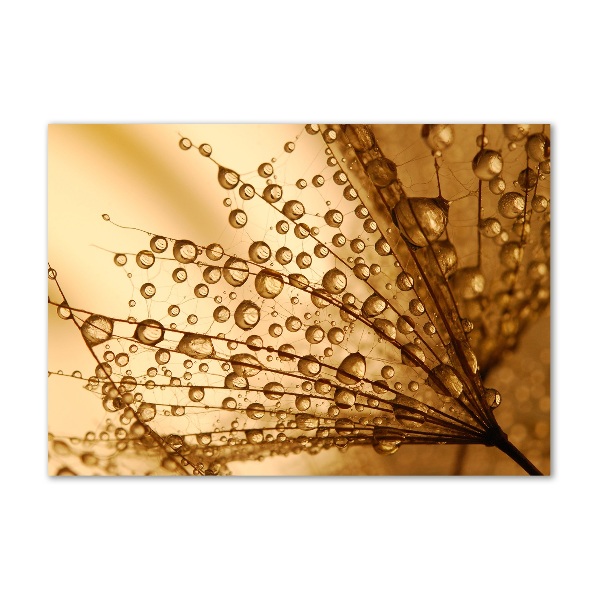 Glass wall art Dandelion seeds