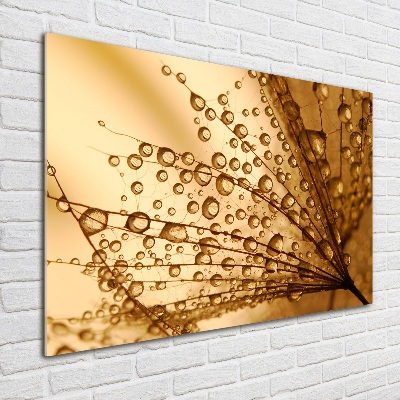 Glass wall art Dandelion seeds