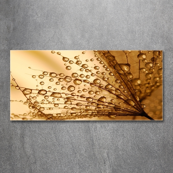 Glass wall art Dandelion seeds