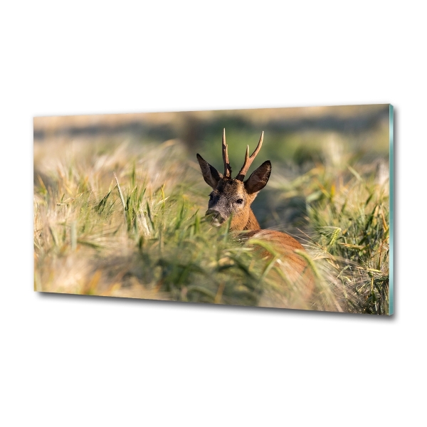 Wall art on glass Deer in the field