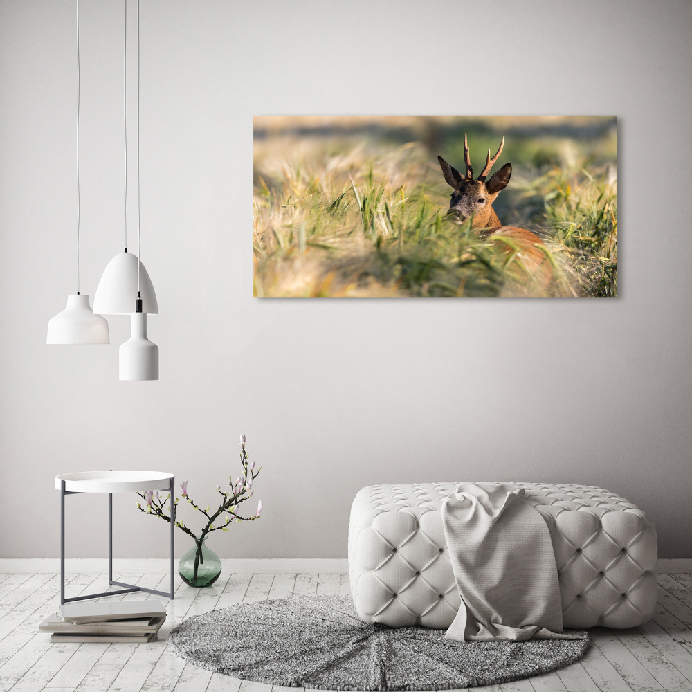 Wall art on glass Deer in the field