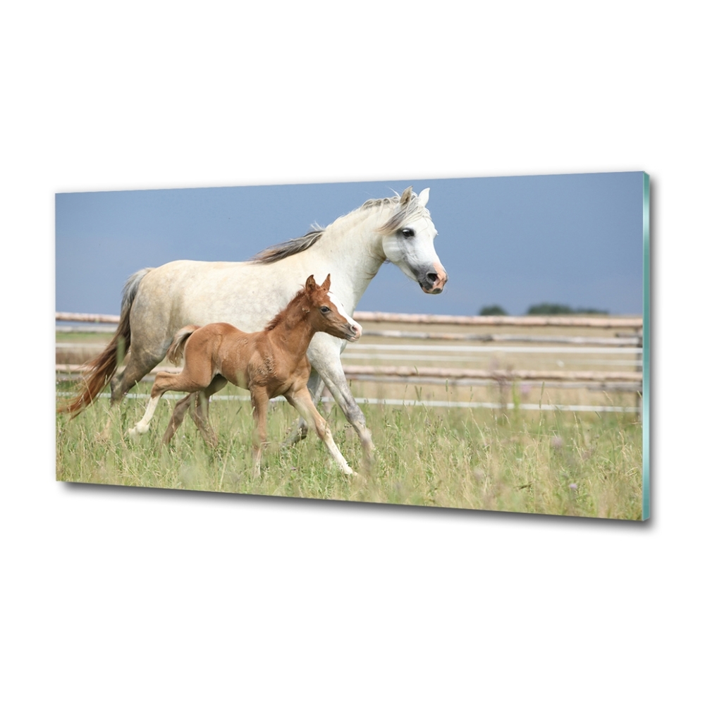 Glass wall art Mare with foal