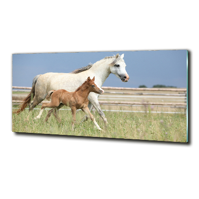 Glass wall art Mare with foal