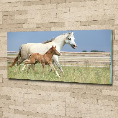 Glass wall art Mare with foal