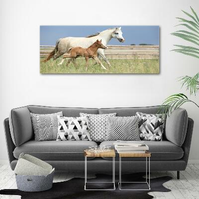 Glass wall art Mare with foal