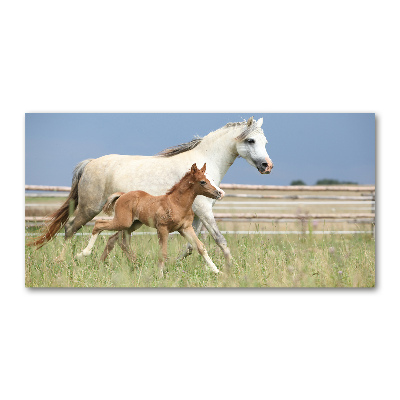 Glass wall art Mare with foal