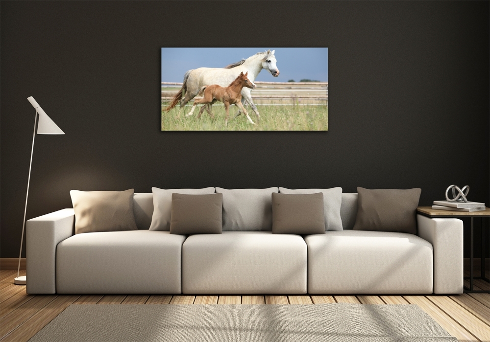 Glass wall art Mare with foal