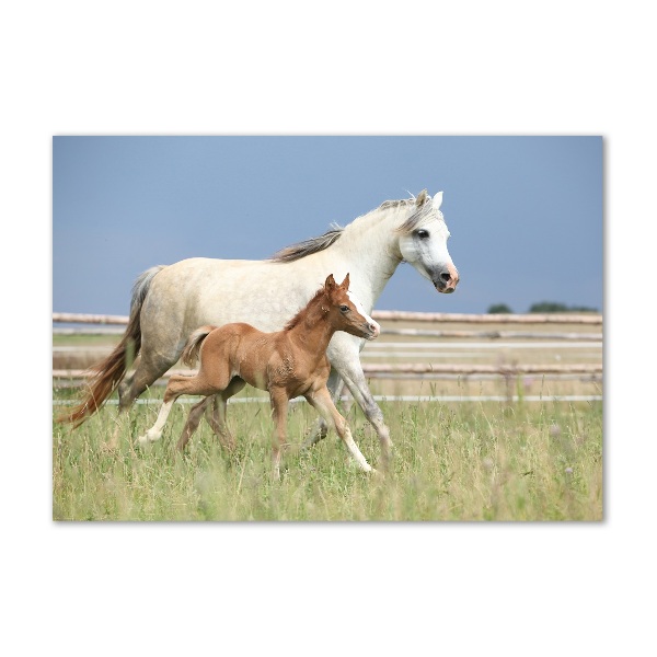 Glass wall art Mare with foal