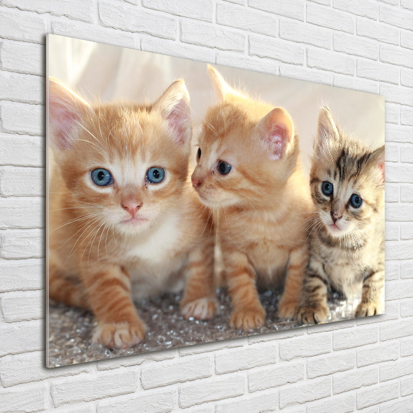 Wall art on glass Little cats