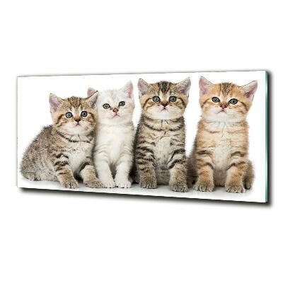 Glass art print Little cats