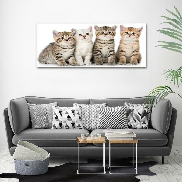 Glass art print Little cats