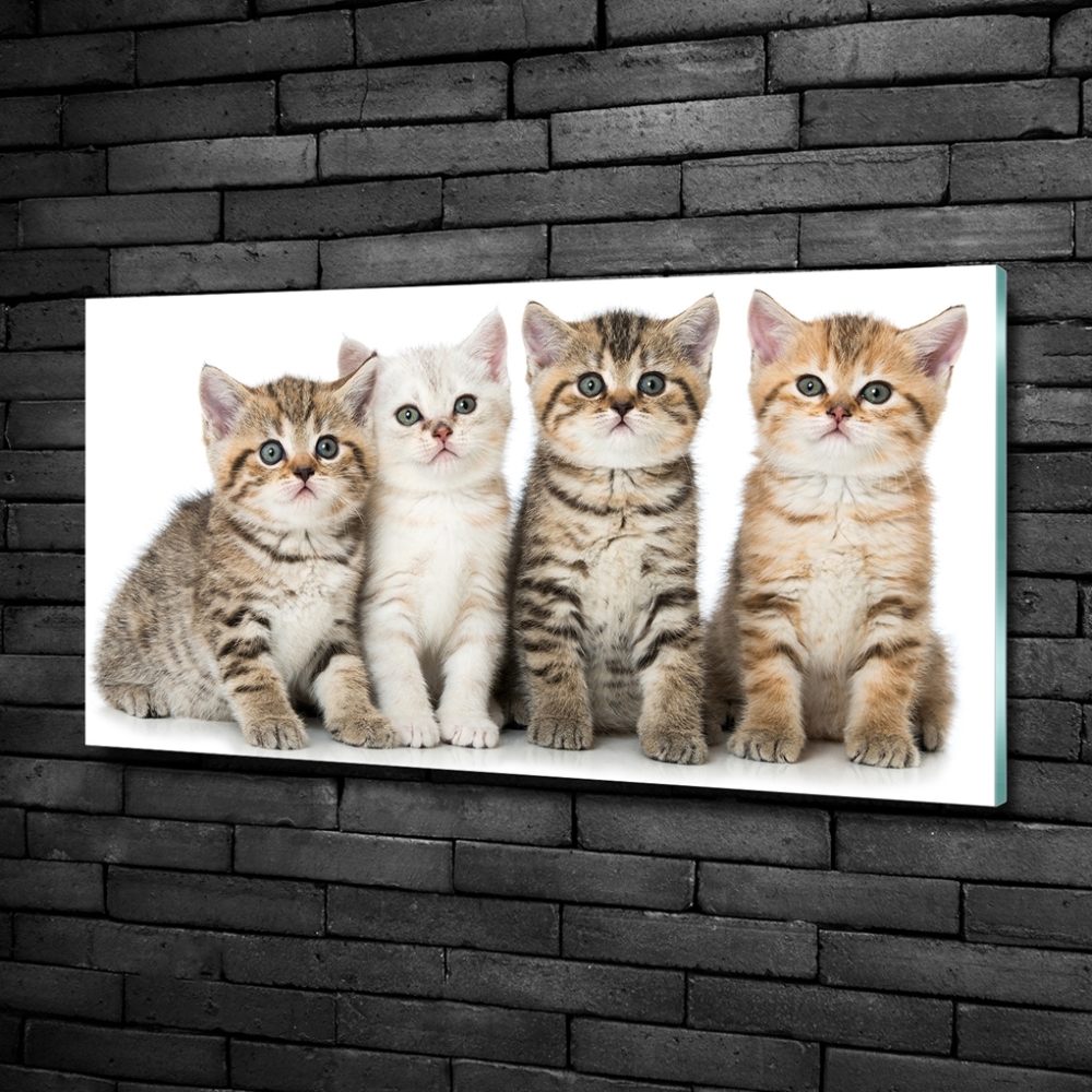 Glass art print Little cats