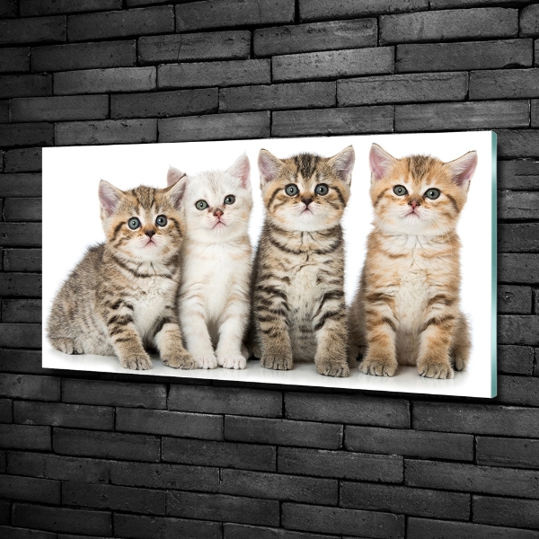 Glass art print Little cats