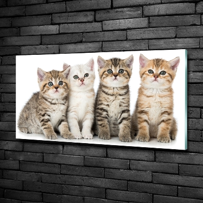 Glass art print Little cats